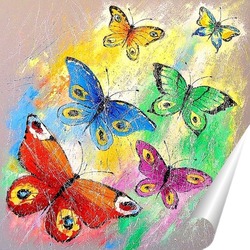   Постер Бабочки