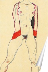   Постер Женский торс