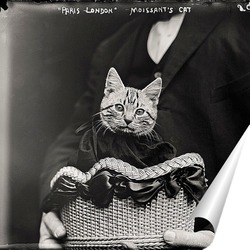   Постер Мисс Фифи, одетая в траур, 1911