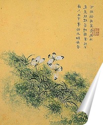  Zhou Xianji