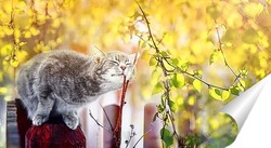   Постер кошка весной