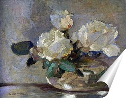  Флоксы