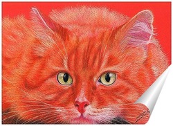   Постер Огненный кот