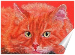   Постер Огненный кот