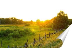  Field and forest at sunset. Tree silhouettes close-up. Evening fog, twilight sky, moonlight. Dark spring landscape. Pastoral rural scene. Nature, seasons, ecology, weather. Panoramic view, copy space