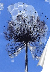  Натюрморт с голубой гортензией