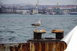  Пасмурное утро над Балаклавской бухтой