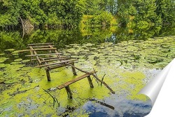   Постер Летний пйзаж
