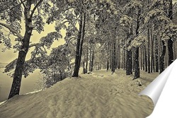  Ольховый зимний лес