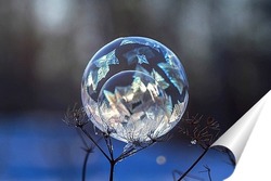  Замёрзший мыльный пузырь на веточке сухого растения