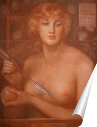   Постер Венера Вертикордия