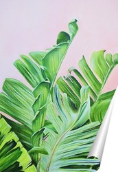   Постер Тропические листья маслом