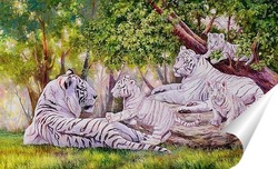  Тигры 37659