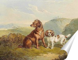   Постер Две собаки