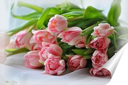   Постер Букетик розовых тюльпанов