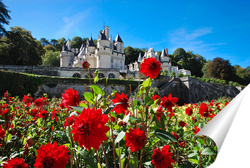   Постер Замок Юссе, долина Луары, Франция летним солнечным днем на фоне цветущих красных георгинов