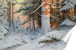  Зимний лес на солнце  