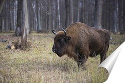  Большой и маленький