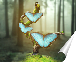   Постер Бабочки в лесу