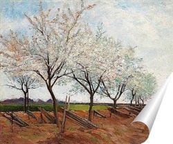   Постер Цветущие фруктовые деревья, 1877