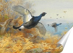  Не для кладовой
