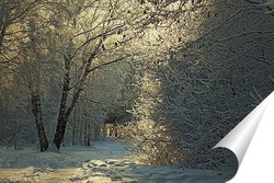  Постер Зимний, лесной пейзаж