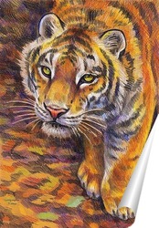  амурский тигр