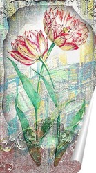   Постер Распустившиеся тюльпаны