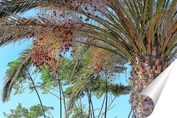   Постер Финиковая пальма