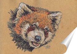   Постер Красная панда