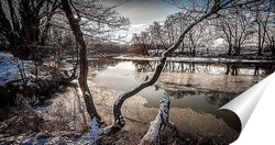   Постер Река Цна, Первые лучики солнца