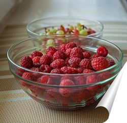   Постер Малина и крыжовник