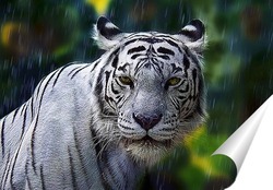   Постер Белый тигр