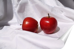  Постер яблоки