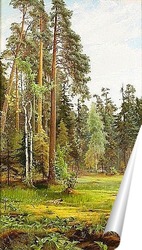   Постер Лесной пейзаж с поляной
