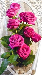  Red rose in a romantic background.	