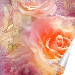   Постер Нежные розы