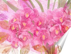   Постер Розовая Орхидея