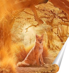  Кот за рулем