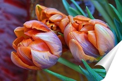  Тюльпаны