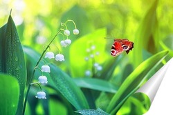  бабочки на летнем лугу 
