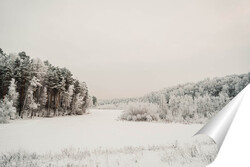   Постер Зимний лес