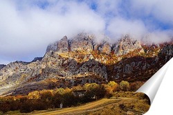  Чёрная каракатица