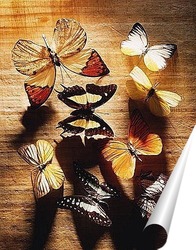  Лето бабочек