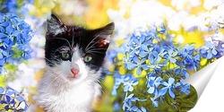  кошка весной
