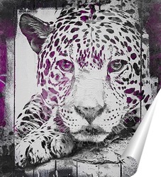   Постер Сиреневый леопард