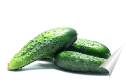   Постер Fresh cucumbers isolated on white