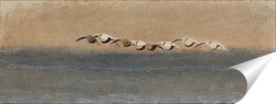  Лебеди на воде