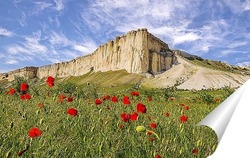  летнее утро