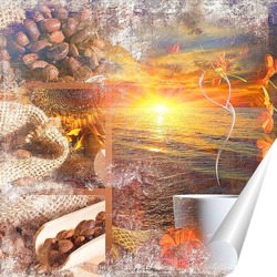  Баскетболист